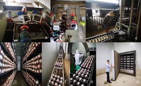 Codes (6 days ago) best coffee machine brands australian dream ingredients cream / 9 best coffee machines 2021 top rated coffee makers : The Amazing Potential Of Fungi 50 Ways We Can Exploit Fungi Industrially Springerlink