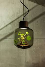 The Mygdal Plant Lamp Thrives Without Sunshine Or Water Plain Magazine Lamp Plant Lighting Lamp Design