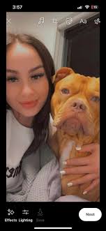 Lost Green Cheeked Conure in Essendon North