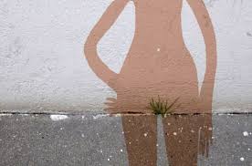 Koltuklar nasıl temizlenir kadınlar kulübü. Bir Agdacinin Sirlari Genital Agda Sirasinda Musterilerin Gozunde Danismana Donusurum