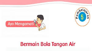 Siswa kelas 2 dapat mempelajari buku tematik tema 7 yang berjudul kebersamaan. Kunci Jawaban Tema 7 Kelas 2 Halaman 202 203 206 207 208 Pembelajaran 5 Subtema 4 Halaman All Tribun Padang