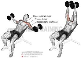 Incline Dumbbell Fly Exercise Instructions And Video Weight Training Guide Musculation Homme Musculation Cuisse Epaules Musculation