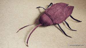 Cockroach Plush Sewing Stuffed Animals Plush Pattern Diy Sewing Pattern