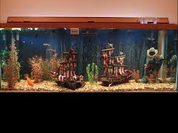 The ship is made by hand, exact repetition is not possible. It S Time To Start Thinking About Aquascaping Theming Our 60 Gallon Goldie Tank Page 10 Aquarium Advice Aquarium Forum Community