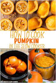 How To Cook Pumpkin In The Slow Cooker The Magical Slow Cooker Recipe Cooking Pumpkin Pureed Food Recipes Cooking