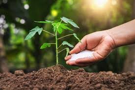 Thanks you for your visit. Organic Fertilizer Market To 2026 High Growth Opportunities