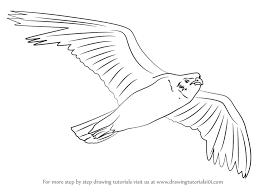 Maybe you would like to learn more about one of these? Learn How To Draw A Seagull Flying Birds Step By Step Drawing Tutorials