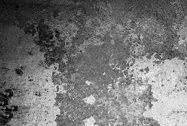 Nikon d7000 + 24mm f/1.4 @ 24mm, iso 800, 1/30, f/1.4. Free Black Textures For Photoshop