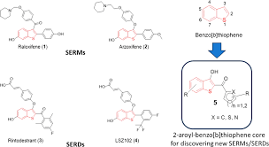 Image result for Selective Estrogen Receptor Modulator