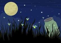 Fantastic Fireflies!