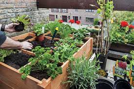 My answer to the problem is a concrete blocks planter to use as a raised bed vegetable building a raised garden bed vegetable garden. Intensive Gardening Mother Earth News