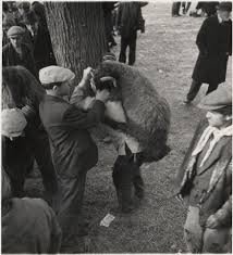 1937 Istanbul Koyun Pazari Koylar Ve Istanbul