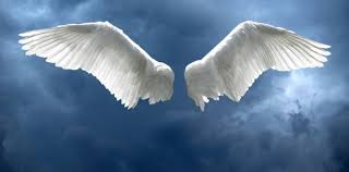 Image Result For Big Angel Wings Buy Angel Wings Pictures Angel Wings Background Stock Photos