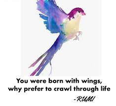 You were born with wings, why prefer to crawl through life ⁉️ Rumi‼️✨ | Rumi,  Life, Leader