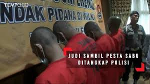 0432 0479 bundaran s d burung gagak buku gambar burung gagak binatang. Sedang Mengecer Judi Kakek 70 Tahun Diringkus Polisi Video Tempo Co