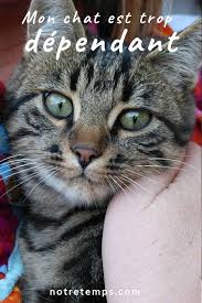 Epingle Sur Animaux