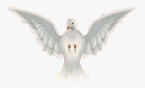 Seeking for free espiritu santo png png images? Clip Art Pomba Espirito Santo Png Pomba De Asas Sabedoria Entendimento Conselho Fortaleza Transparent Png Transparent Png Image Pngitem