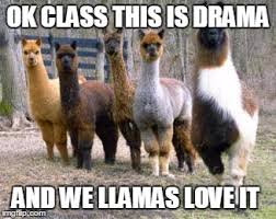 Drama Llama 101 - Imgflip