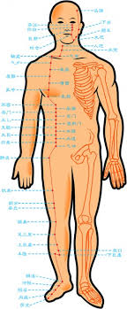 weight loss acupressure points and how to use them