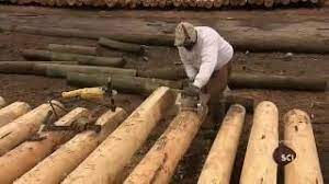 Where can i buy a utility pole. How It S Made Utility Poles Youtube