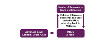 We did not find results for: Newcastle University Medicine Numed Study Medicine Pre Medicine Mbbs Md Doctor Of Medicine Study Medicine Pre Medicine Mbbs Md Doctor Of Medicine