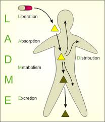 Routes of drug administration often there is a great choice in selecting the route by which a drug should be given to patients. Adme Wikipedia