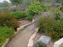 If your current garden is full of grass (or weeds), there's some prep work to be done before building a xeriscape. It S Here Your Ultimate Guide To Xeriscape Landscaping Take Care Of Texas