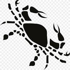Emotional, intuitive, and practically psychic; 33 Astrology Sign Of Cancer Zodiac Art Zodiac And Astrology