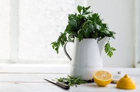 Since you'll be using these sprays inside your house, you don't want something with an offensive odor that lingers for a long time. Diy An Easy Homemade Indoor Plant Bug Spray Well Good
