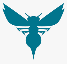 The resolution of image is 822x1086 and classified to iron throne, iron man, distressed. Transparent Charlotte Hornets Logo Png Charlotte Hornets New Logo Png Download Kindpng
