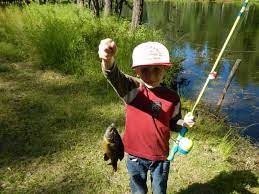 Ilona On Twitter Fish Teaching Kids