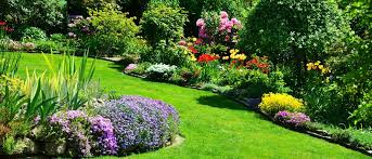 Последние твиты от diamond lawns (@diamondlawns). Let Pest Control Companies In Meridian Idaho Resolve Insect Issues In Your Yard Diamond Lawns