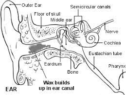 Learn about the ear syringing procedure, benefits & side effects. Ear Syringing Ear Care The Old School Surgerythe Old School Surgery