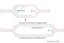 Continuous Discontinuous Synthesis