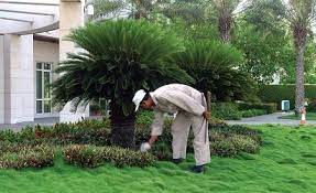 Insights about top trending companies, startups, investments and m&a activities, notable investors of these companies, their management team. Landscaping Services Isg