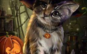 Black Halloween Cat 2021 Live Wallpaper Hd Cat Wallpaper Halloween Cat Cats