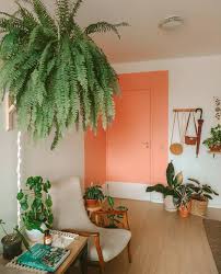 Dust the leaves regularly using a soft brush. Hello Plant Lover On Instagram Okay What S The Tip To Keep A Boston Fern From Dying Indoors Share With Us Hehe I Plant Decor Indoor Plant Decor Boston Fern
