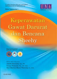 Yang disediakan adalah modul konsep dasar keperawatan. Keperawatan Gawat Darurat And Bencana Sheehy 1st Edition