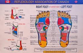 Reflexology Foot Chart Reflexology Association Of Canada