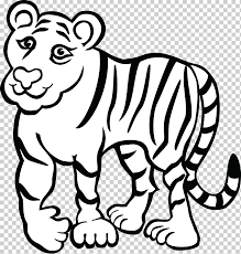 Tigre blanco es el jefe que nos espera al final de la misión el demonio del monte hiei. Libro De Colorear Bengala Tigre Adulto Tigre Siberiano Feroz Blanco Nino Mamifero Png Klipartz