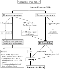 The surgeon may recommend surgery to remove as much of the tumor as safely possible as a first step and to relieve intracranial. Congenital Brain Tumor Within The First 2 Months Of Life Sciencedirect