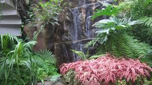 Check spelling or type a new query. Butterfly Garden Terminal 3 At Changi Airport A Fake Waterfall Bild Von Butterfly Garden Singapur Tripadvisor