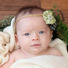 Tracy D Portraits Photography