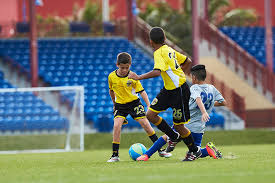 We can automatically crop your photo, then all you have to do is select the flag, favorite club and fill in the statistics. Soccer 101 Player Positions Their Responsibilities Pro Tips By Dick S Sporting Goods