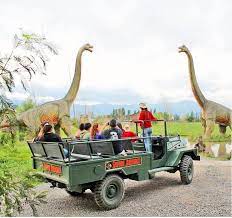We did not find results for: Parque Safari Chile Tickets Y Donaciones Parque Safari Chile