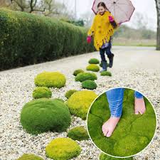 Match Moss Forest Green Bodendecker Moos Grun