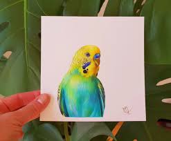 Rainbow Budgerigar Painting Watercolour Budgie Portrait Bird Art Parrots Art Parakeet Art