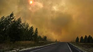 Aug 20, 2021 · пожар, бушующий в лесах медведевского района марий эл, резко перекинулся на постройки в посёлке студенка. Oui4ccqzhjy5lm