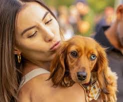 David Stibich's Instagram, Twitter & Facebook