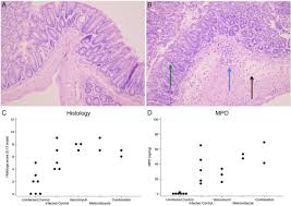 Consult a doctor for medical advice. Treatment Of Clostridium Difficile Infection In Mice With Vancomycin Alone Is As Effective As Treatment With Vancomycin And Metronidazole In Combination Bmj Open Gastroenterology